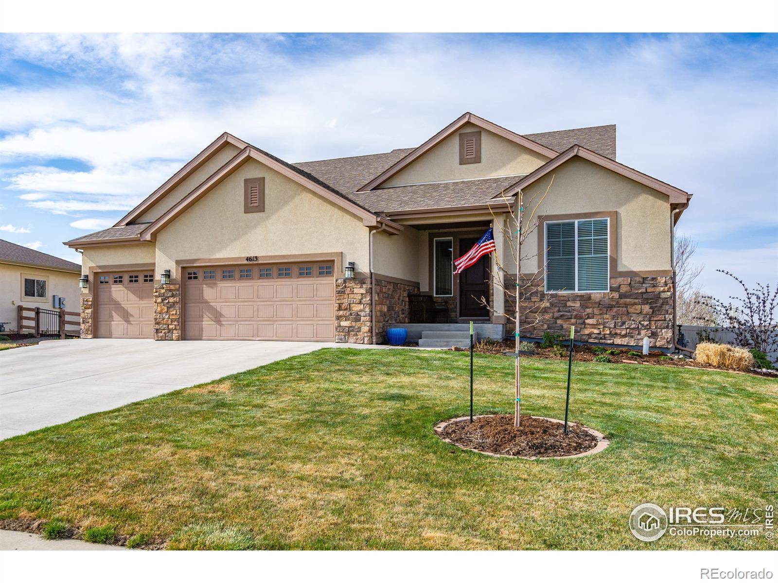 Windsor, CO 80550,4613 Freehold DR