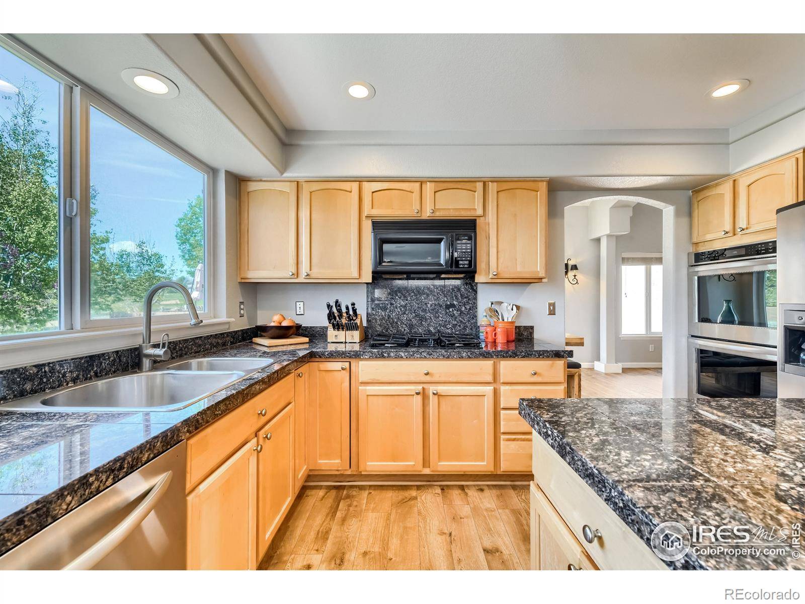 Broomfield, CO 80023,13855 Dogleg LN