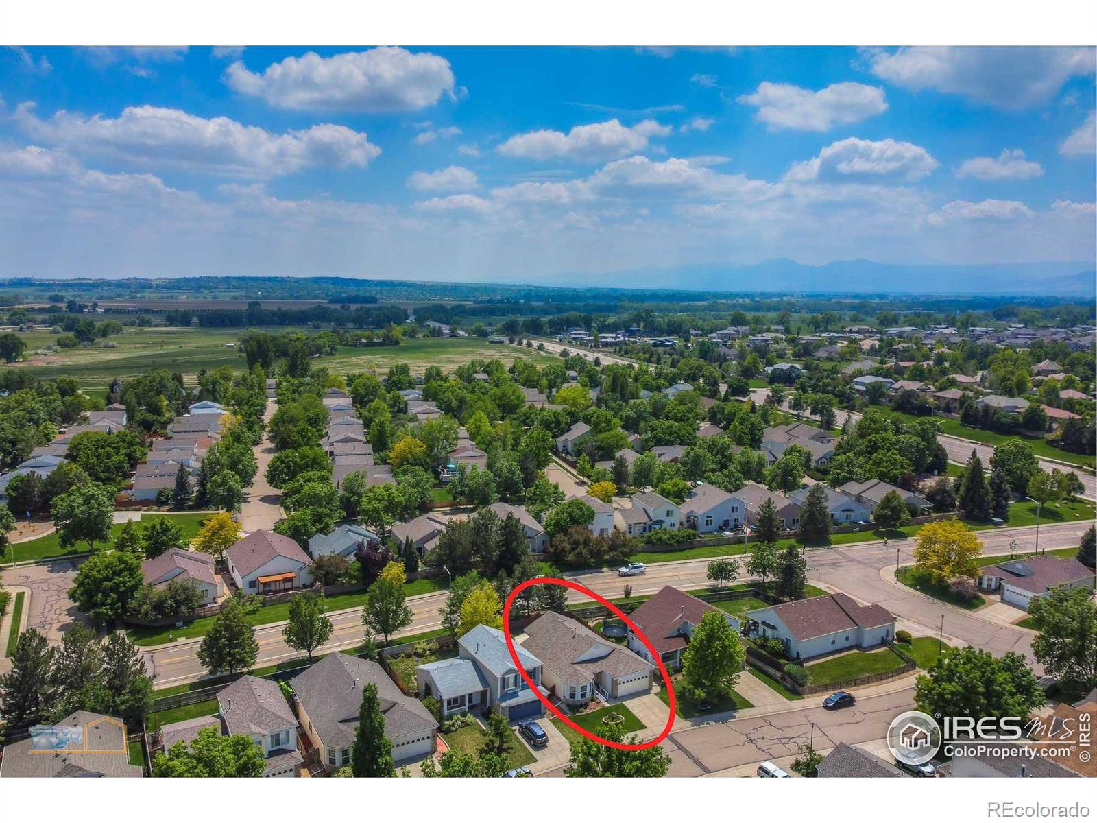 Longmont, CO 80503,3639 Wildrose PL