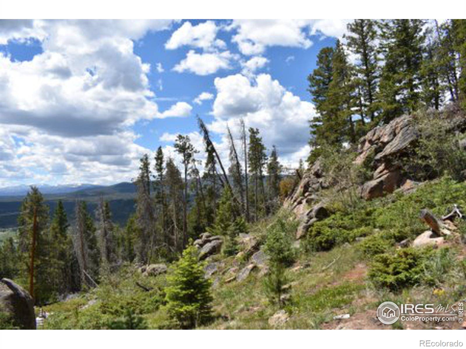 Red Feather Lakes, CO 80545,85 Piegan CT