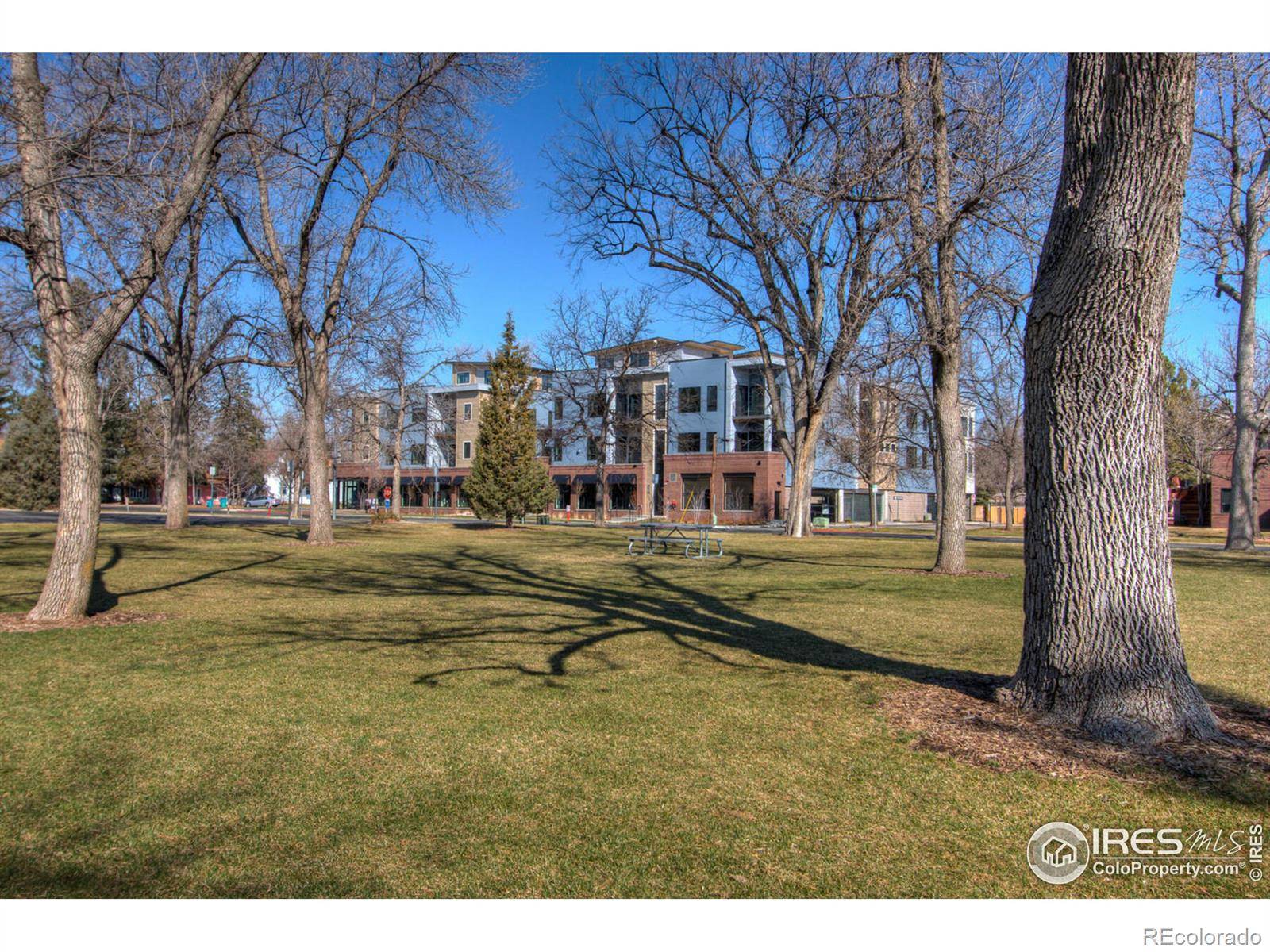 Fort Collins, CO 80521,302 N Meldrum ST #212