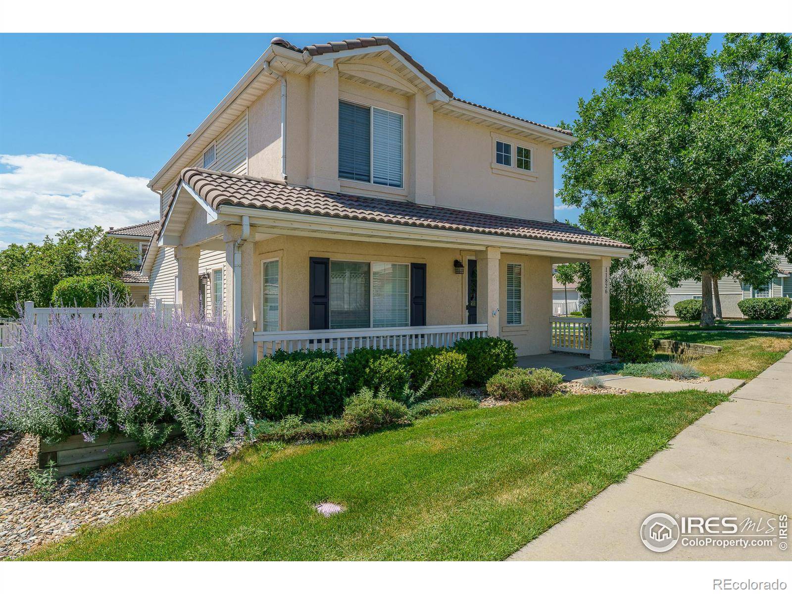 Westminster, CO 80031,11826 Zenobia LOOP