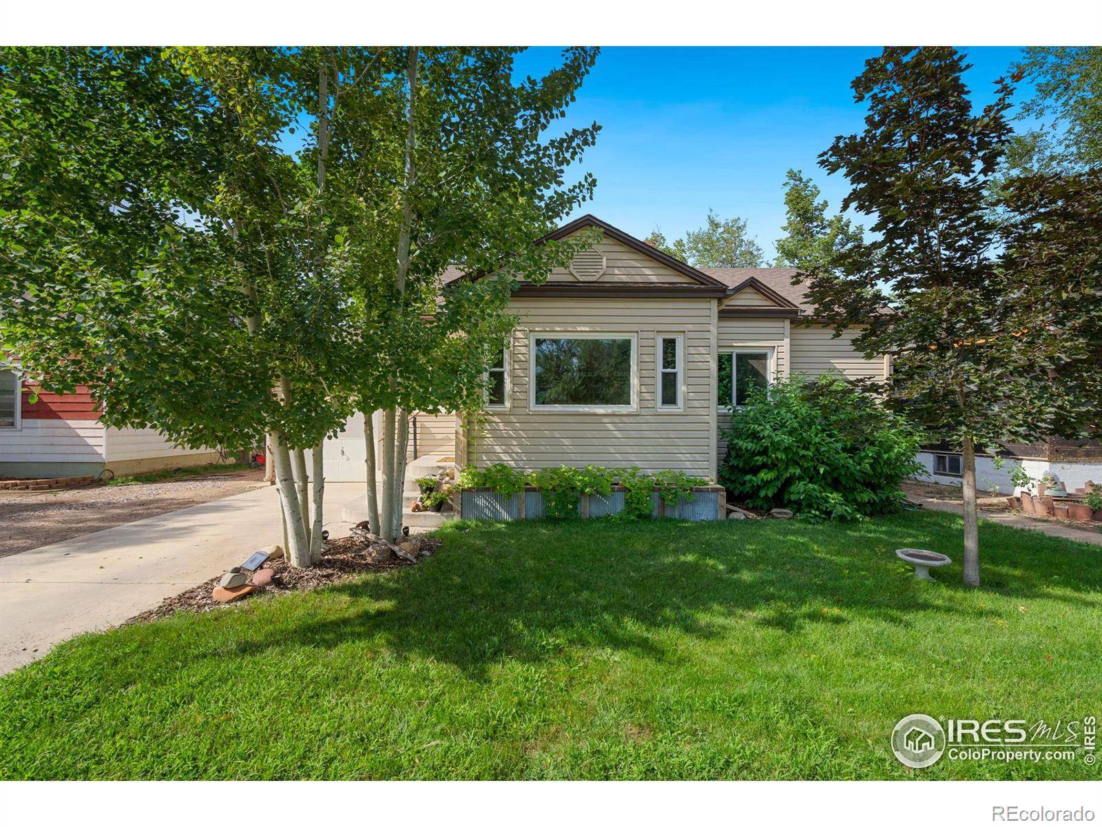 Windsor, CO 80550,410 Locust ST