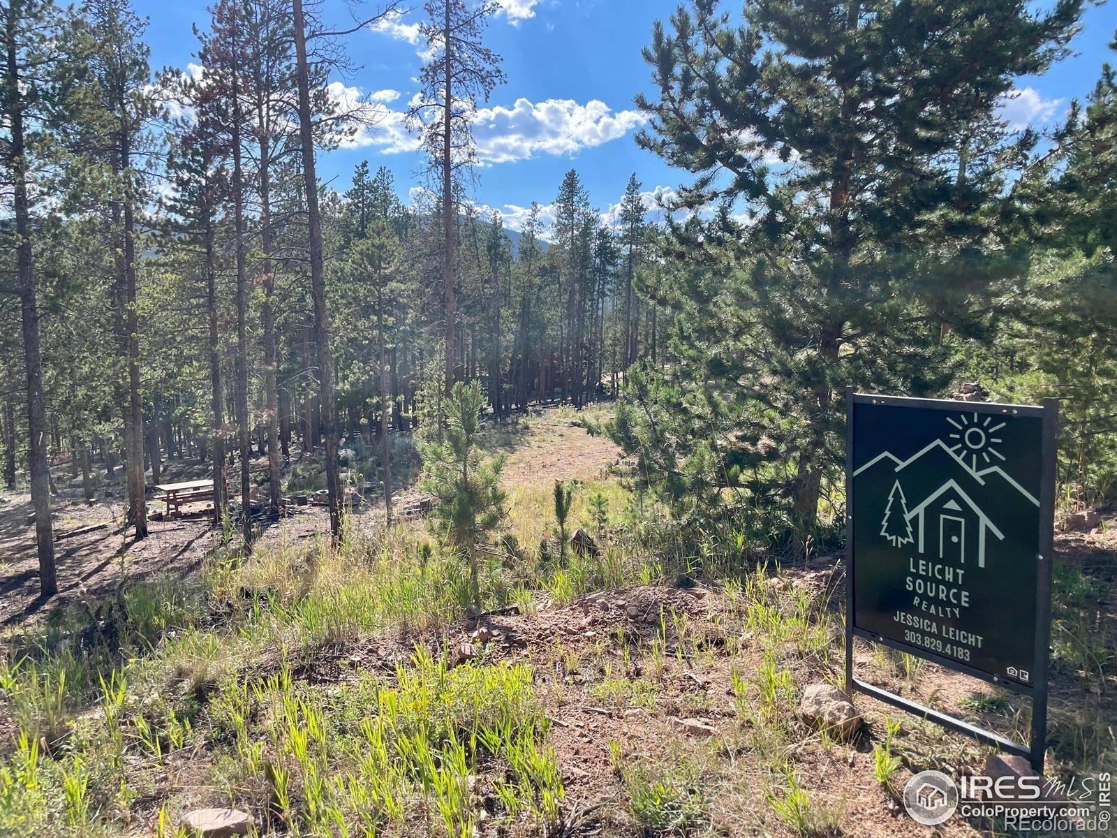 Red Feather Lakes, CO 80545,931 Micmac DR