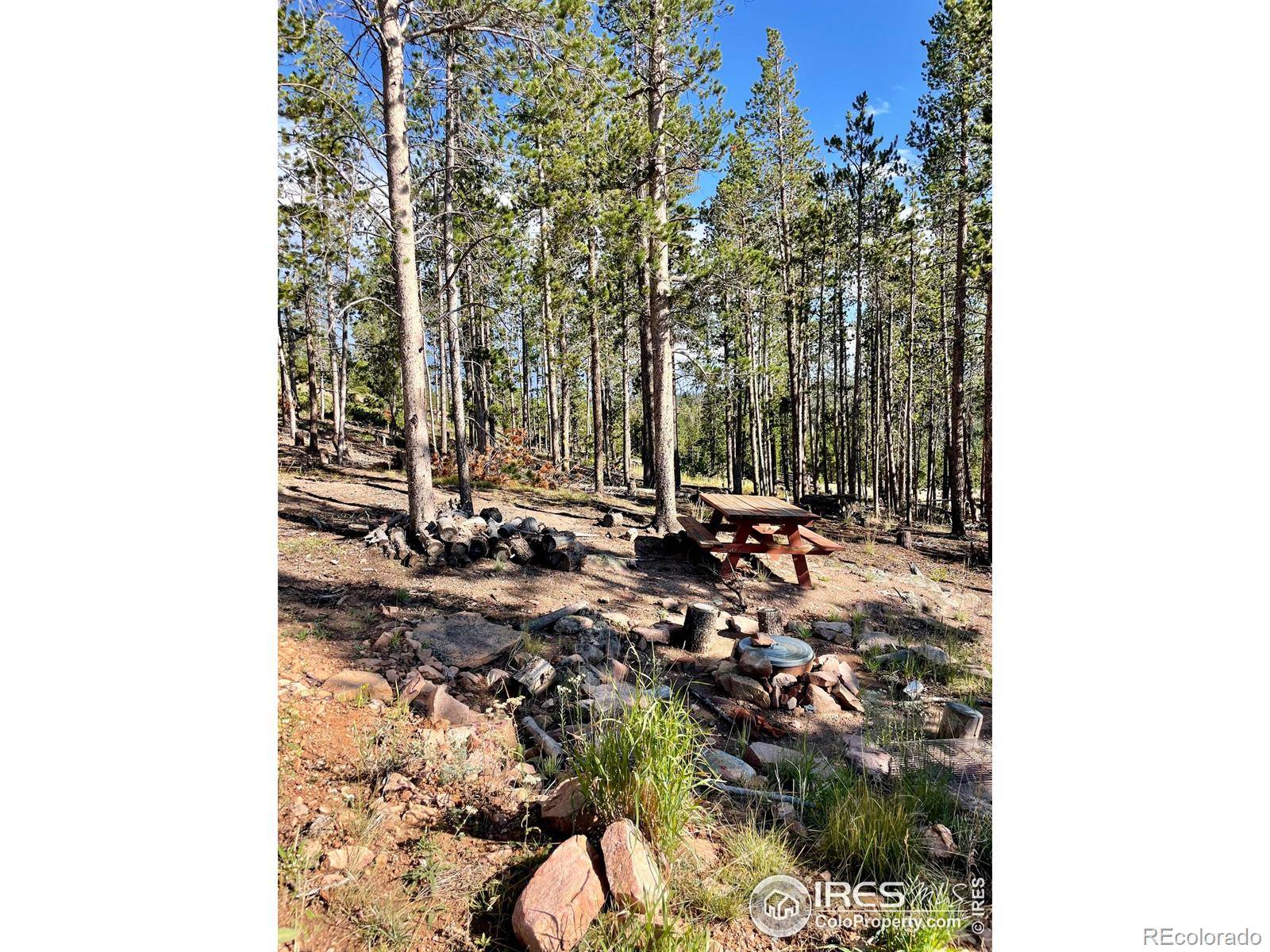 Red Feather Lakes, CO 80545,931 Micmac DR