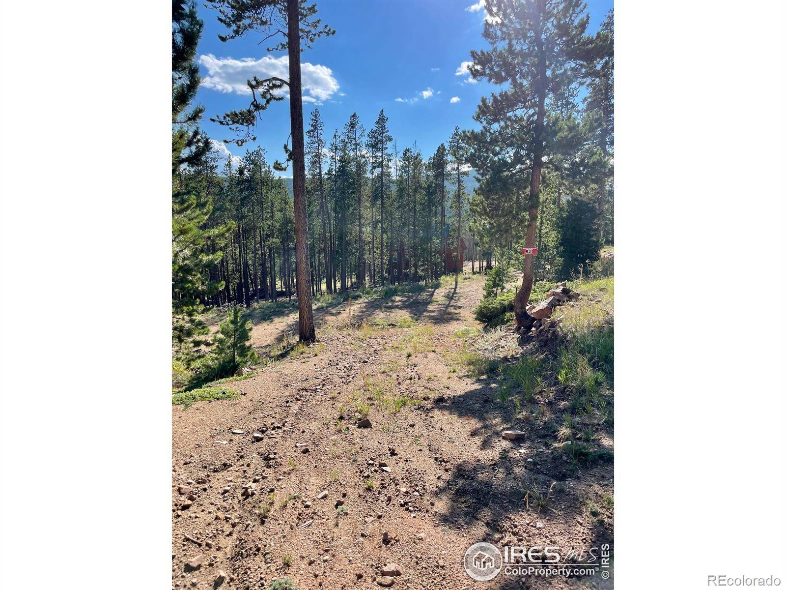 Red Feather Lakes, CO 80545,931 Micmac DR