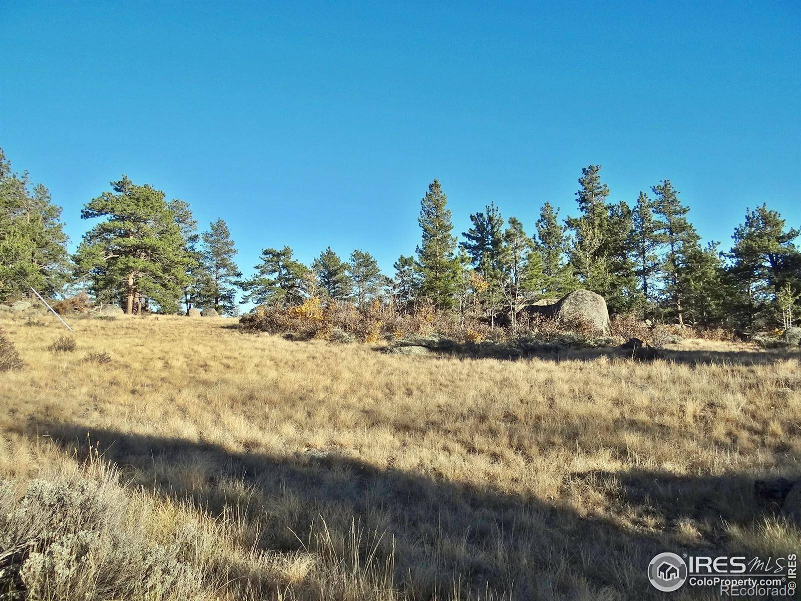 Red Feather Lakes, CO 80545,191 Cimarron RD