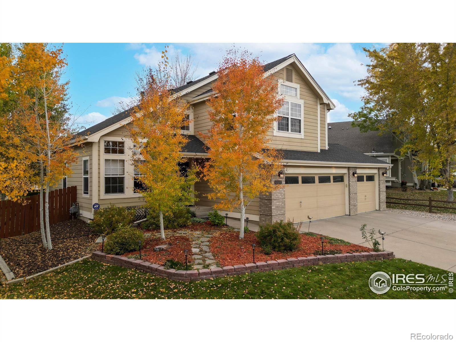 Fort Collins, CO 80525,227 Egyptian CT