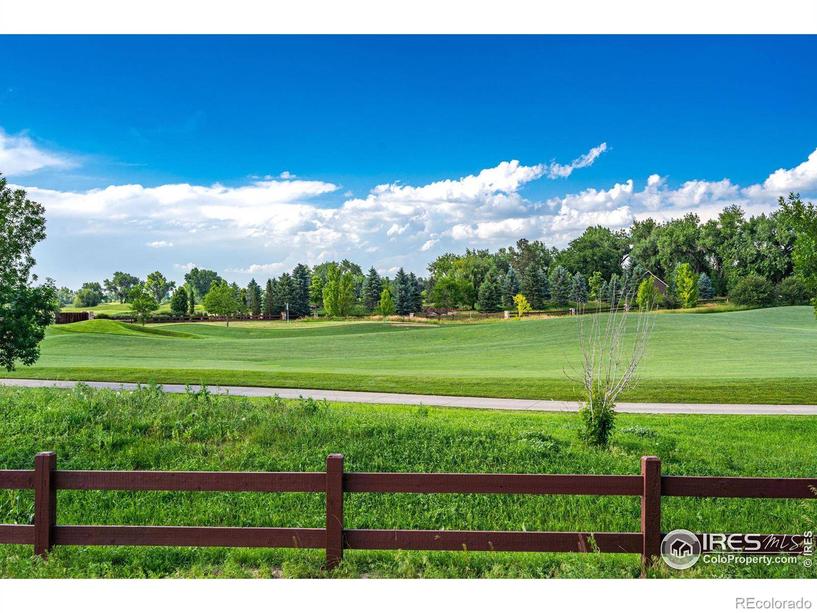 Timnath, CO 80547,6358 Foundry CT