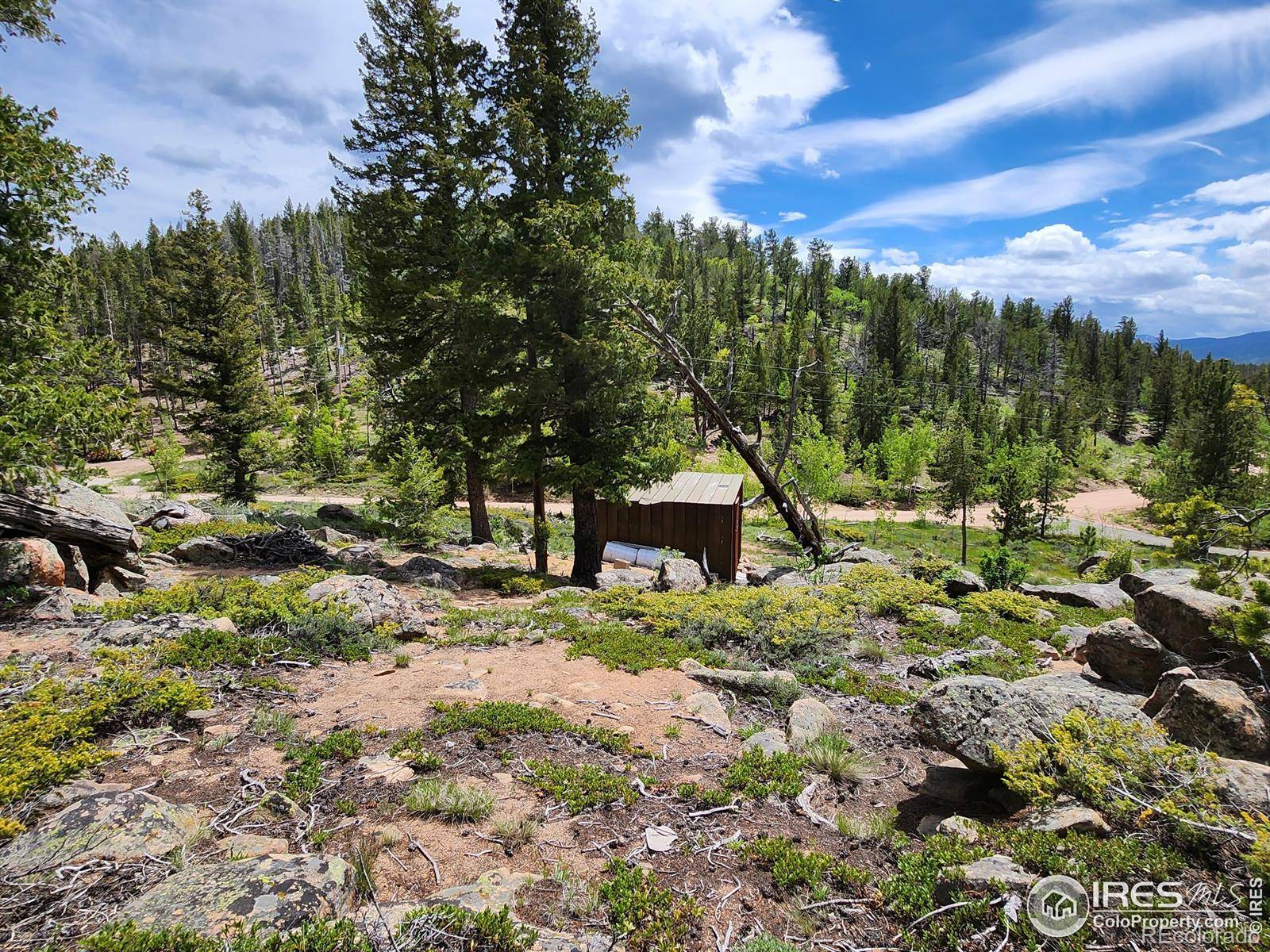 Red Feather Lakes, CO 80545,518 Crow RD