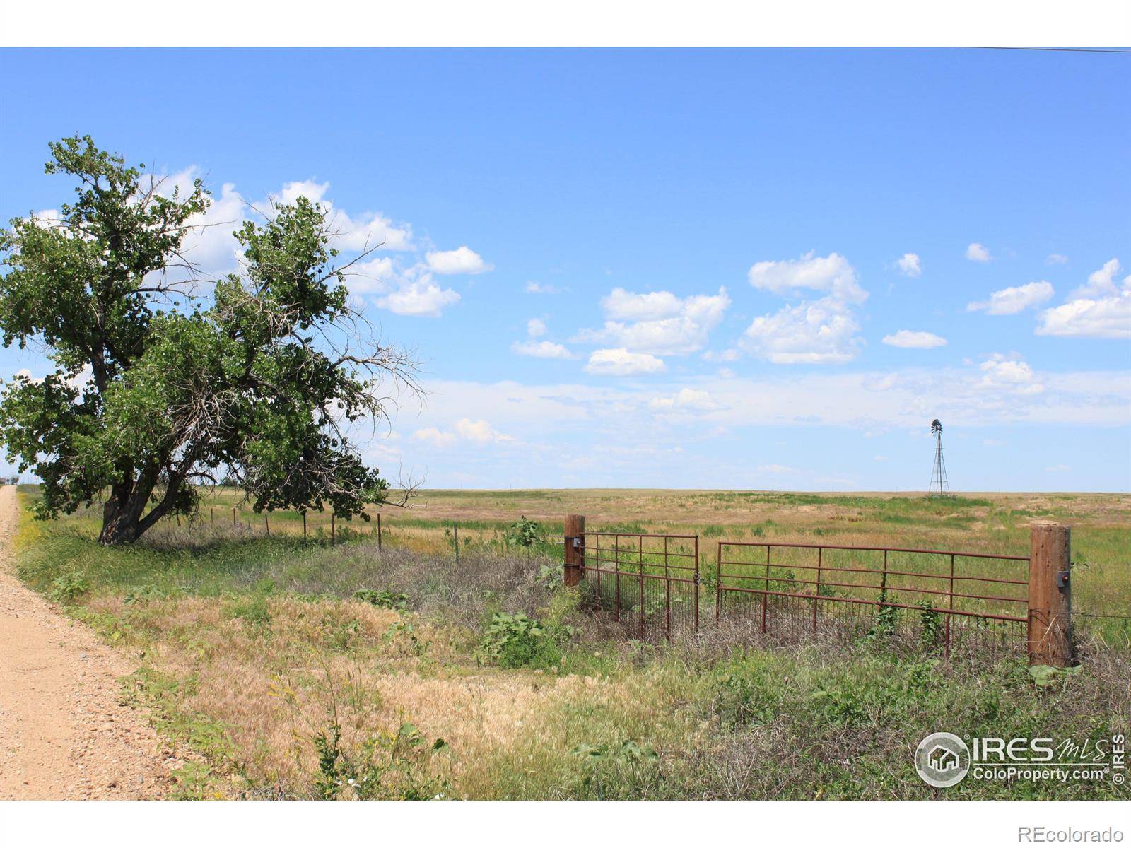 Briggsdale, CO 80611,42085 County Road 80