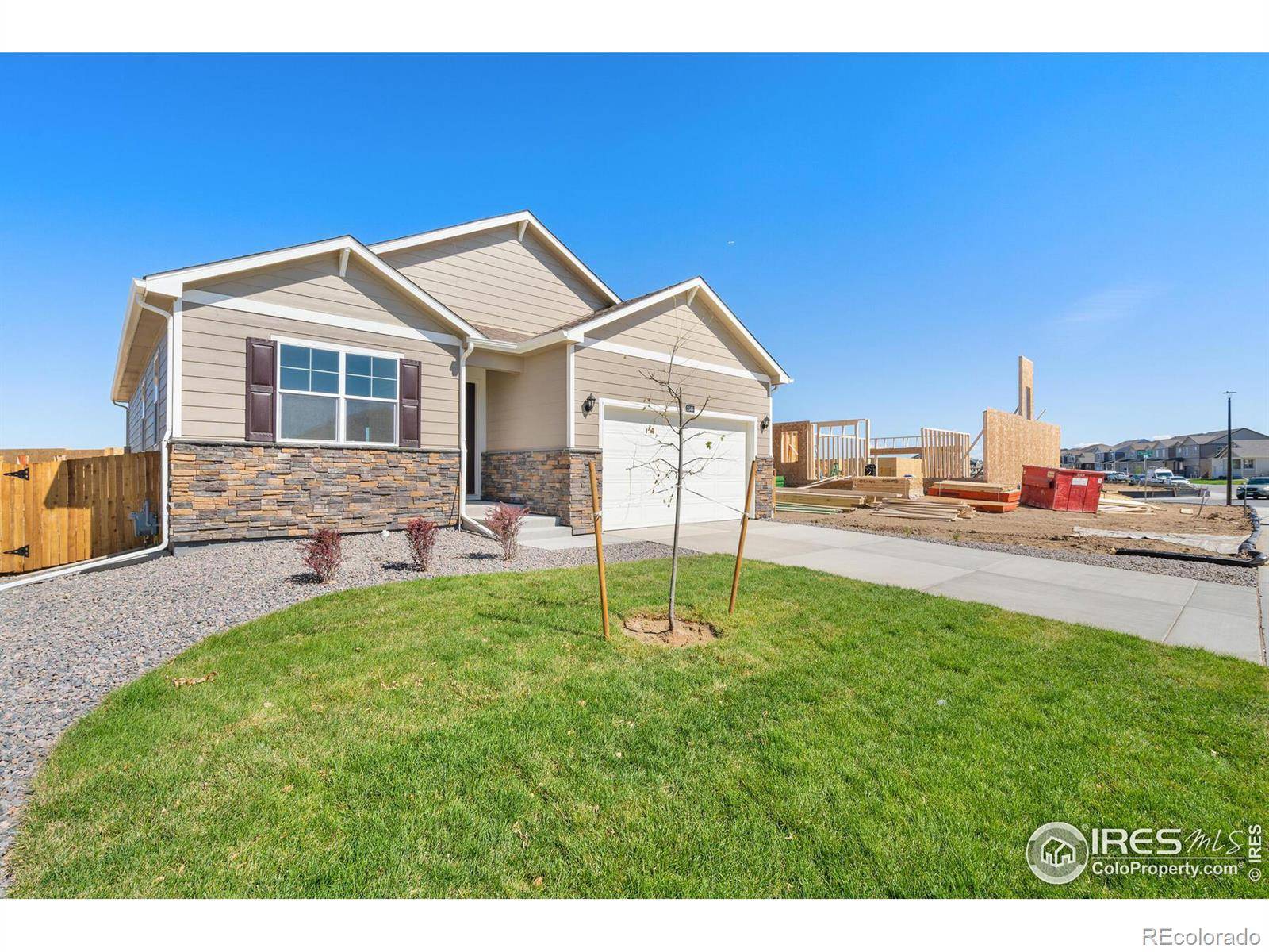 Wellington, CO 80549,3746 Catmint ST