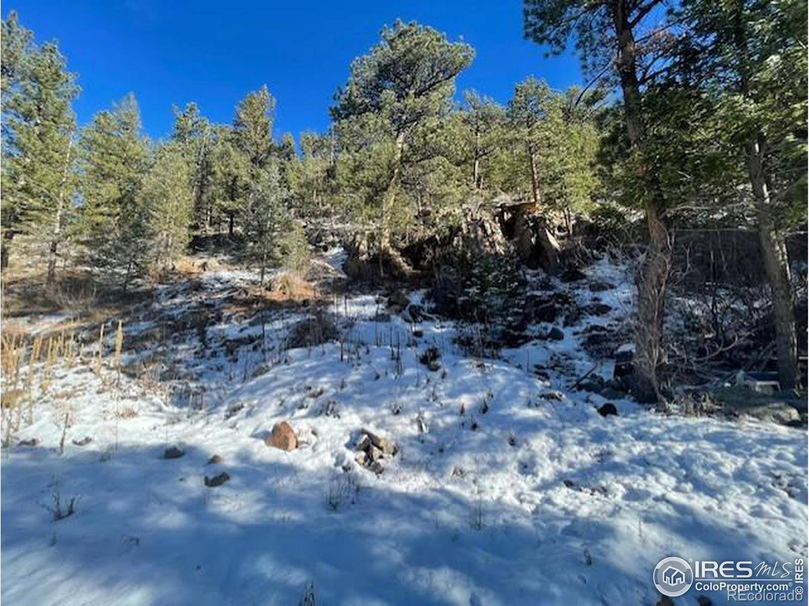 Lyons, CO 80540,555 Riverside DR