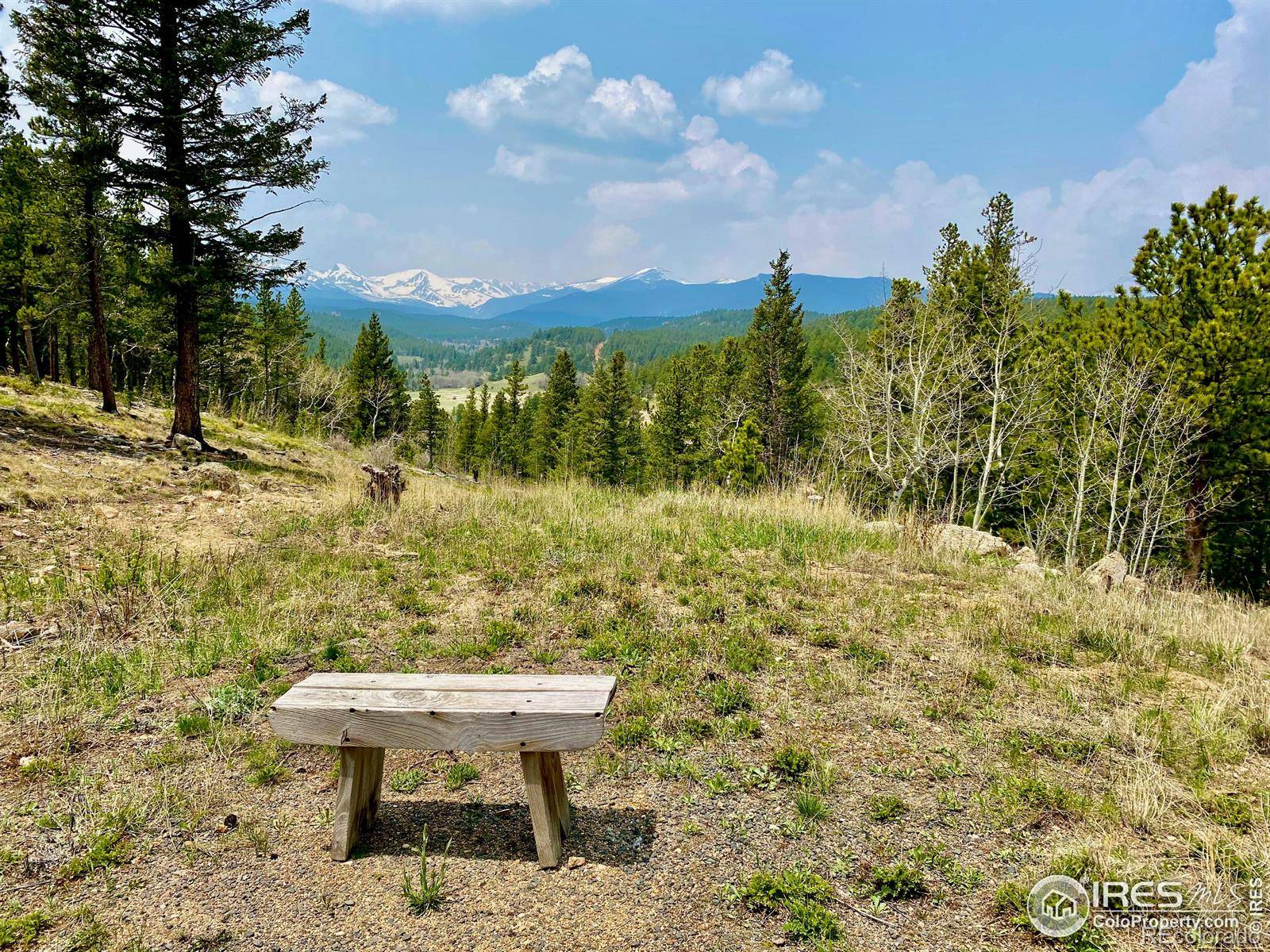 Ward, CO 80481,172 Saint Vrain TRL