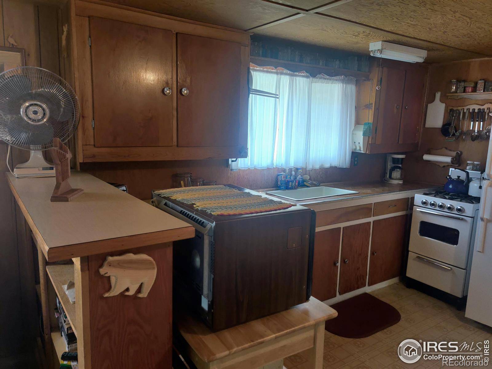 Red Feather Lakes, CO 80545,121 Pine Nut LN
