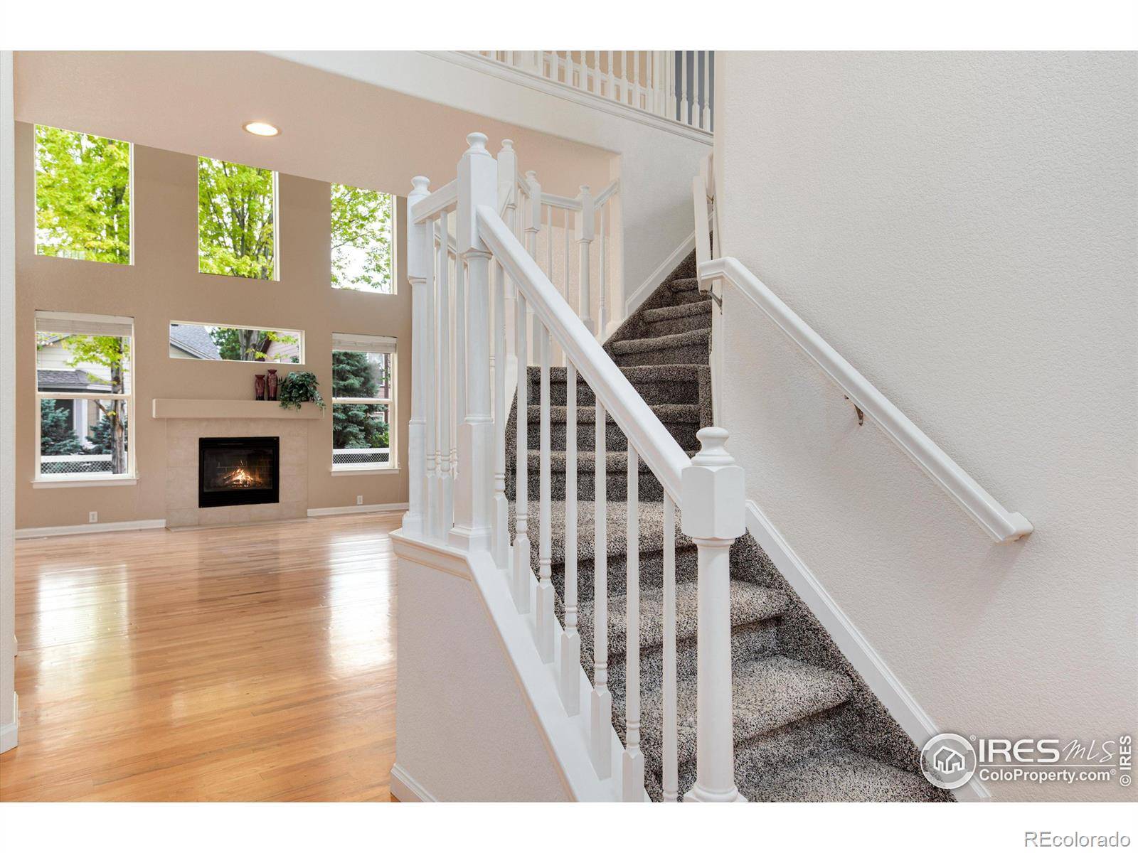 Longmont, CO 80503,4501 Bella Vista DR