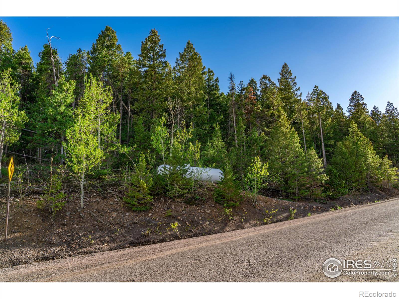 Golden, CO 80403,11956 Coal Creek Heights DR