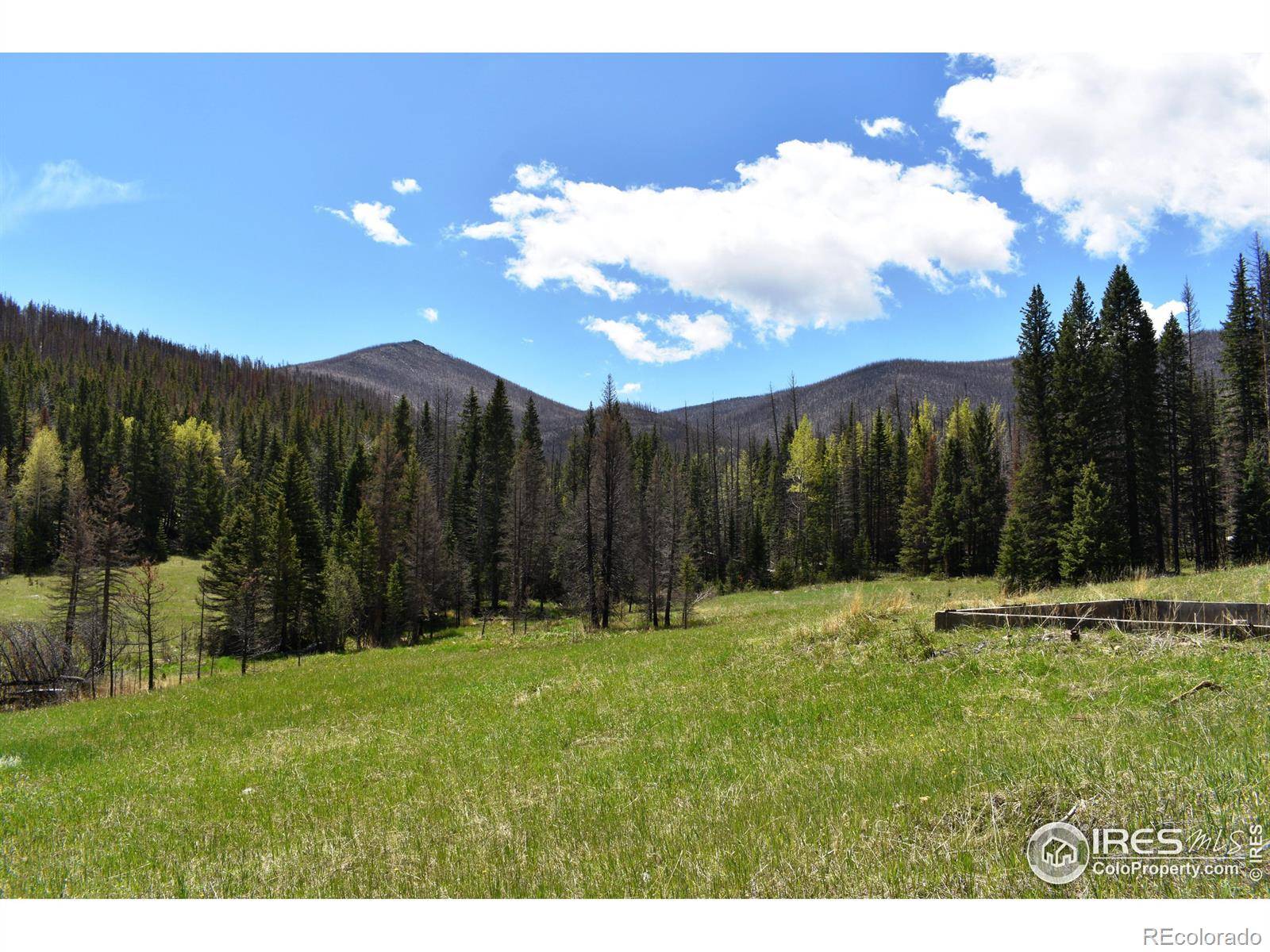 Bellvue, CO 80512,4059 Forest Road 129