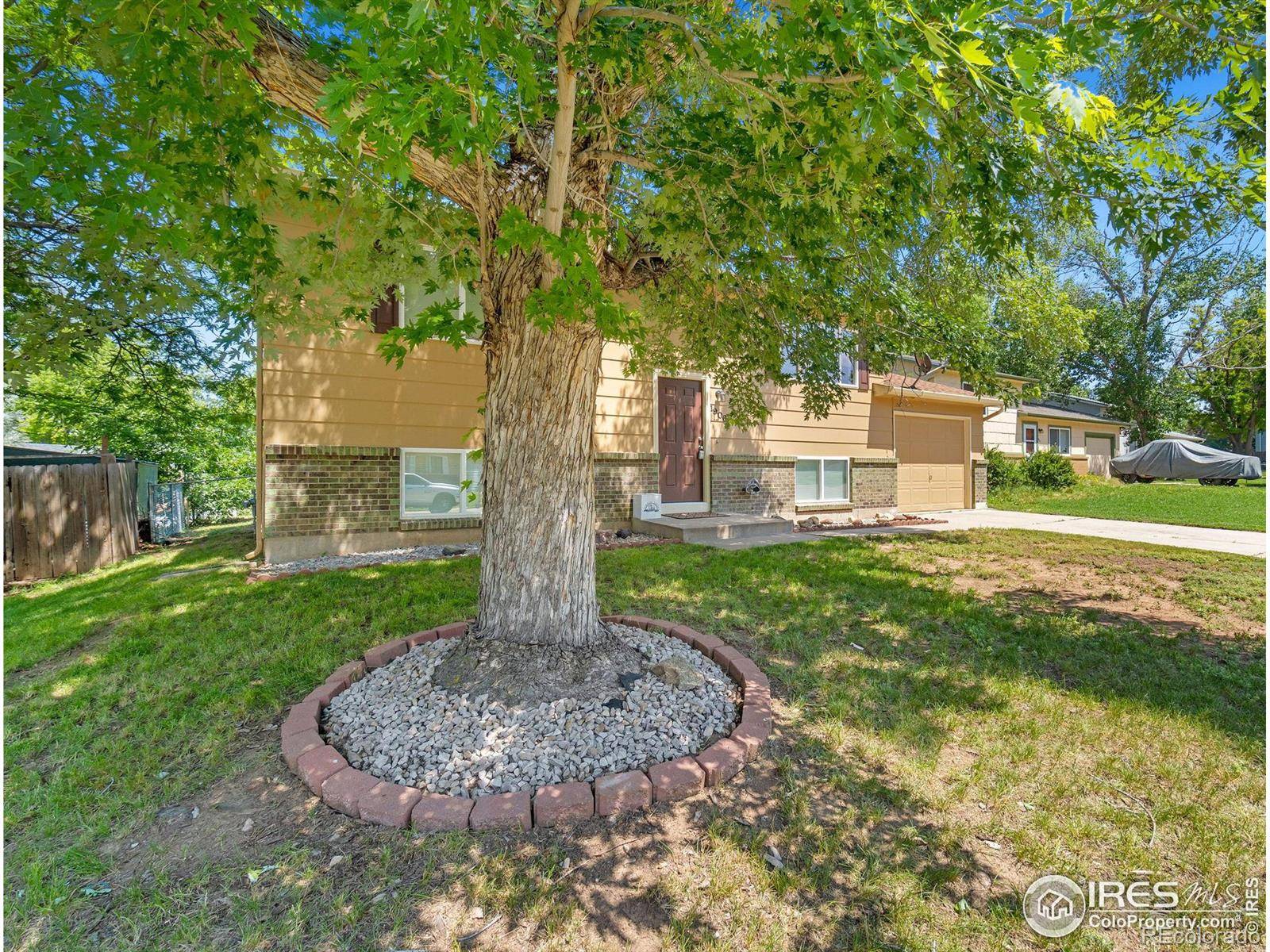 Fort Collins, CO 80526,1906 Corriedale CT