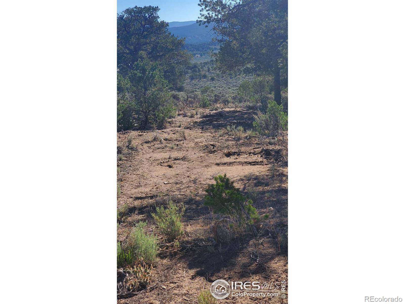 Fort Garland, CO 81133,3249 Saloman RD