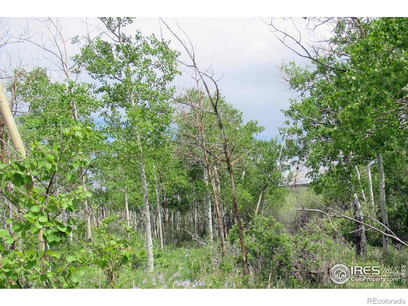 Livermore, CO 80536,N County Road 89