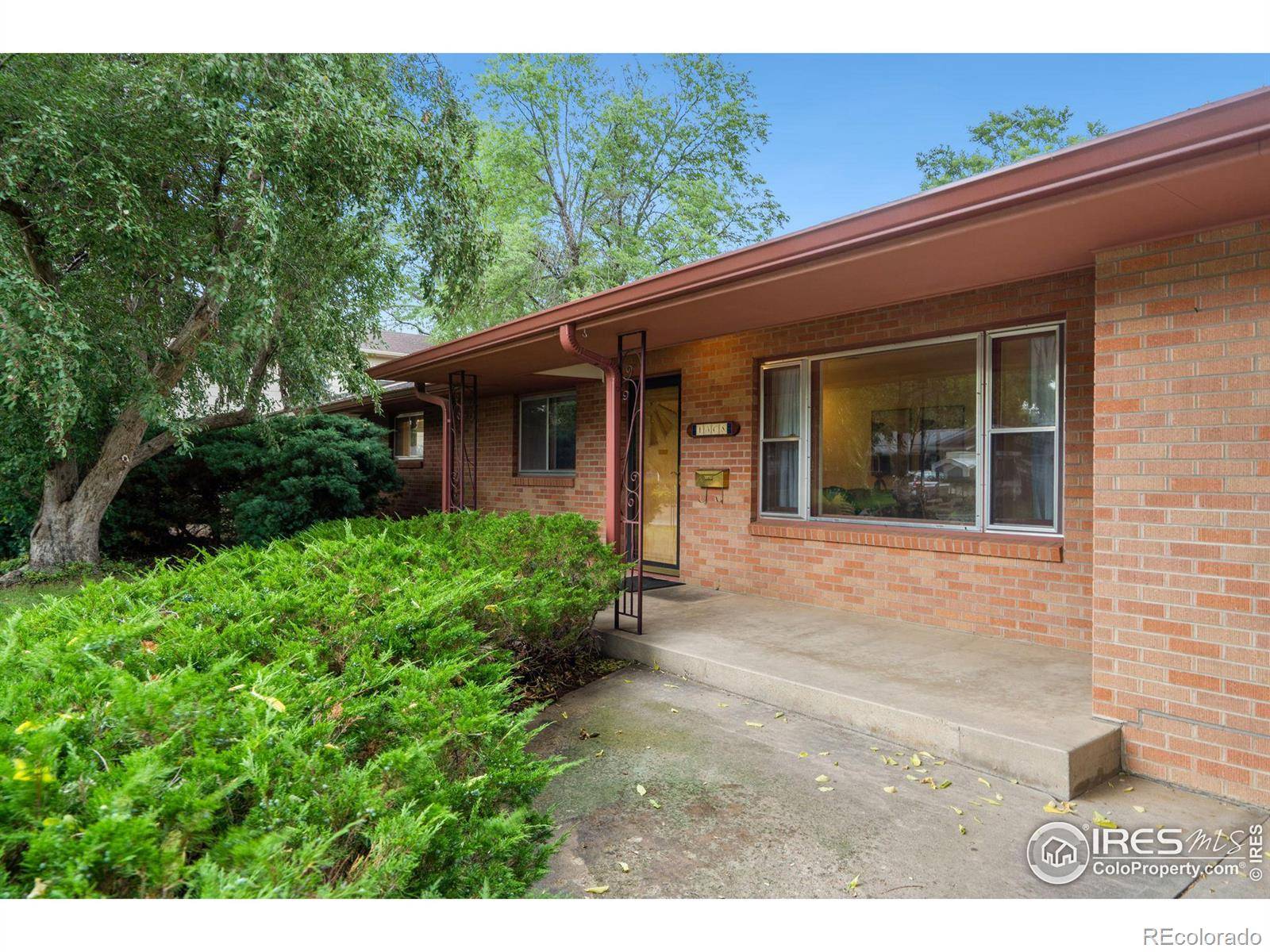 Fort Collins, CO 80524,1308 Robertson ST