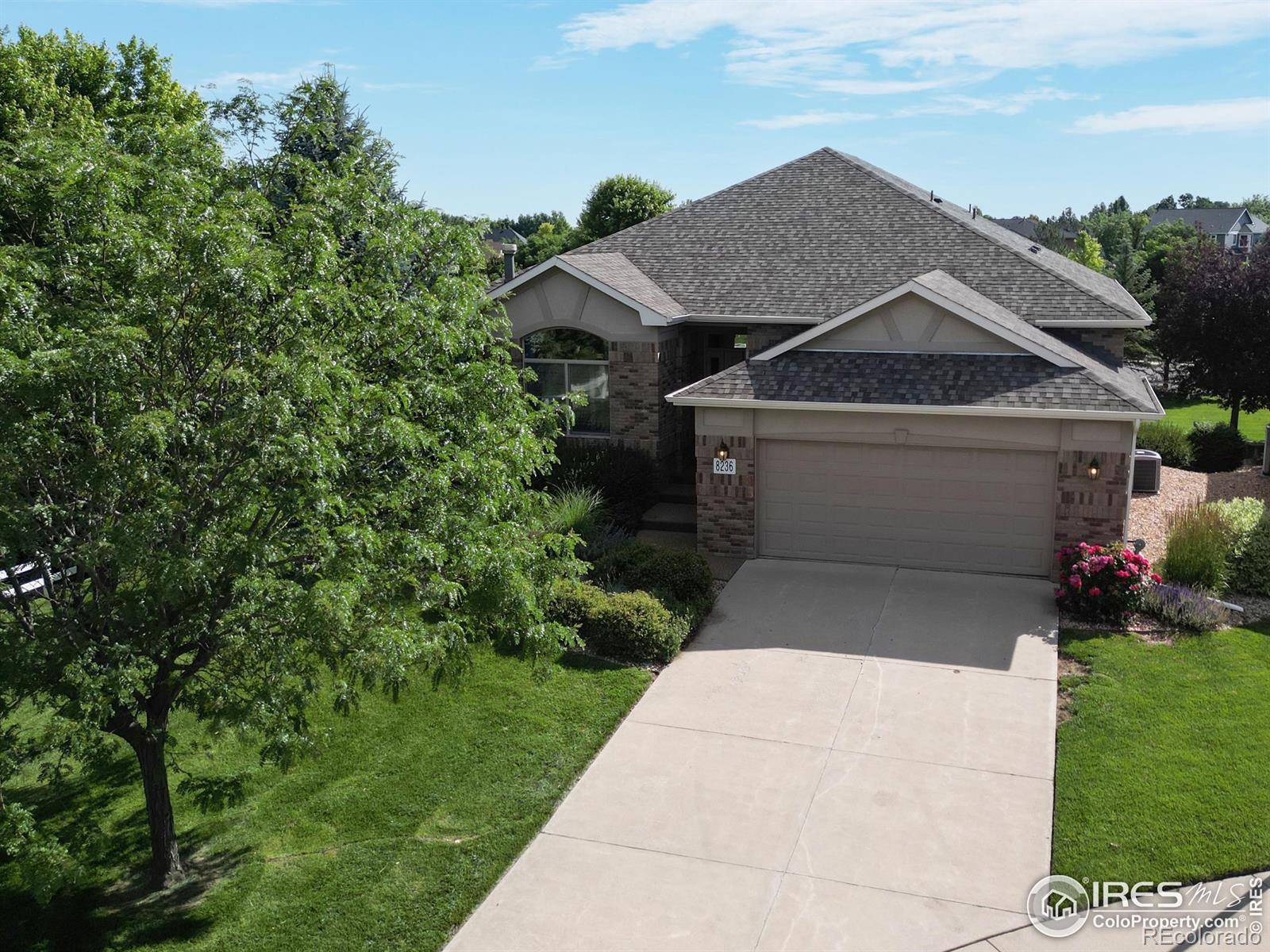 Windsor, CO 80528,8236 Hidden Cove CT