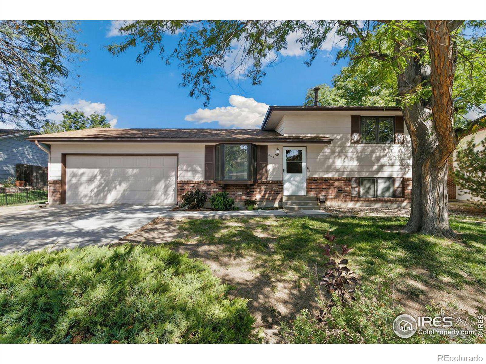 Loveland, CO 80538,1065 Banyan CT