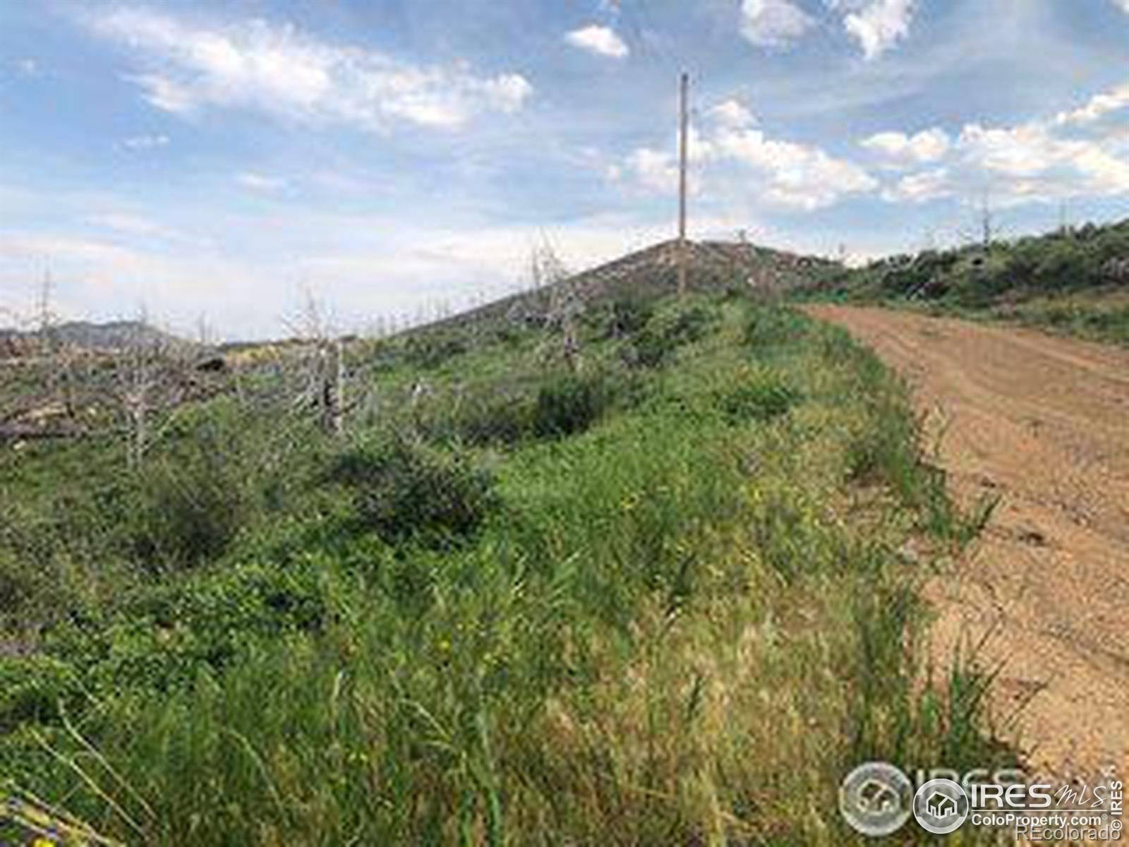 Livermore, CO 80536,1360 Meadow Mountain DR