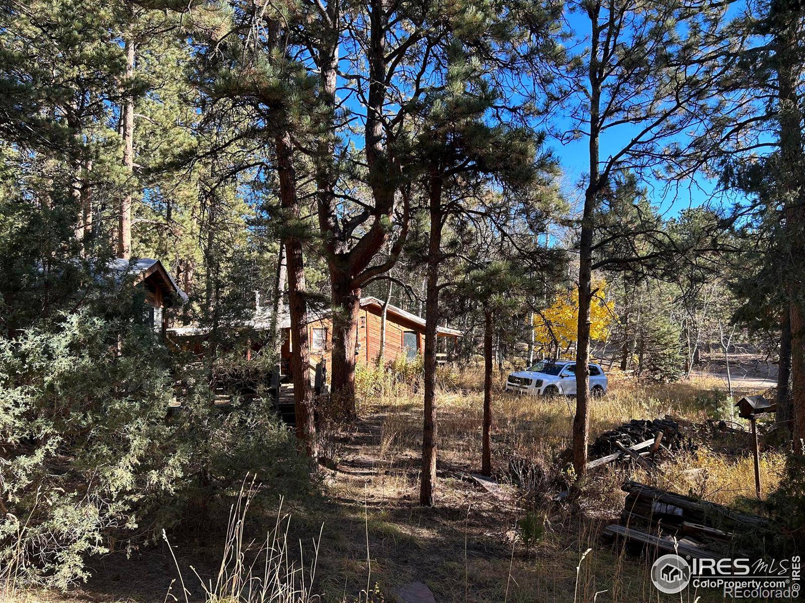 Lyons, CO 80540,371 Spruce DR