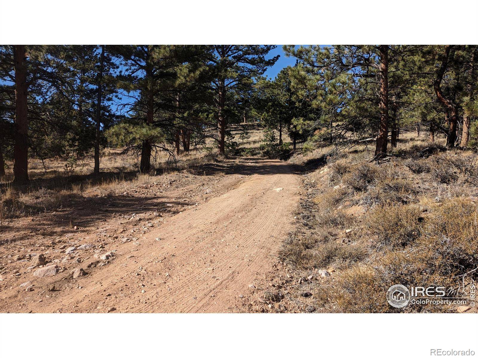 Red Feather Lakes, CO 80545,175 Hopi CT