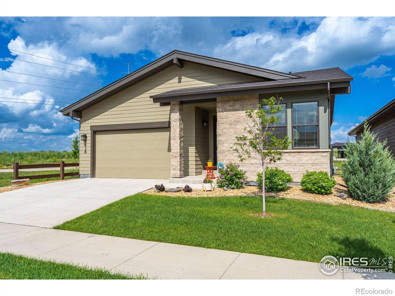 Timnath, CO 80547,2638 Trap Creek DR