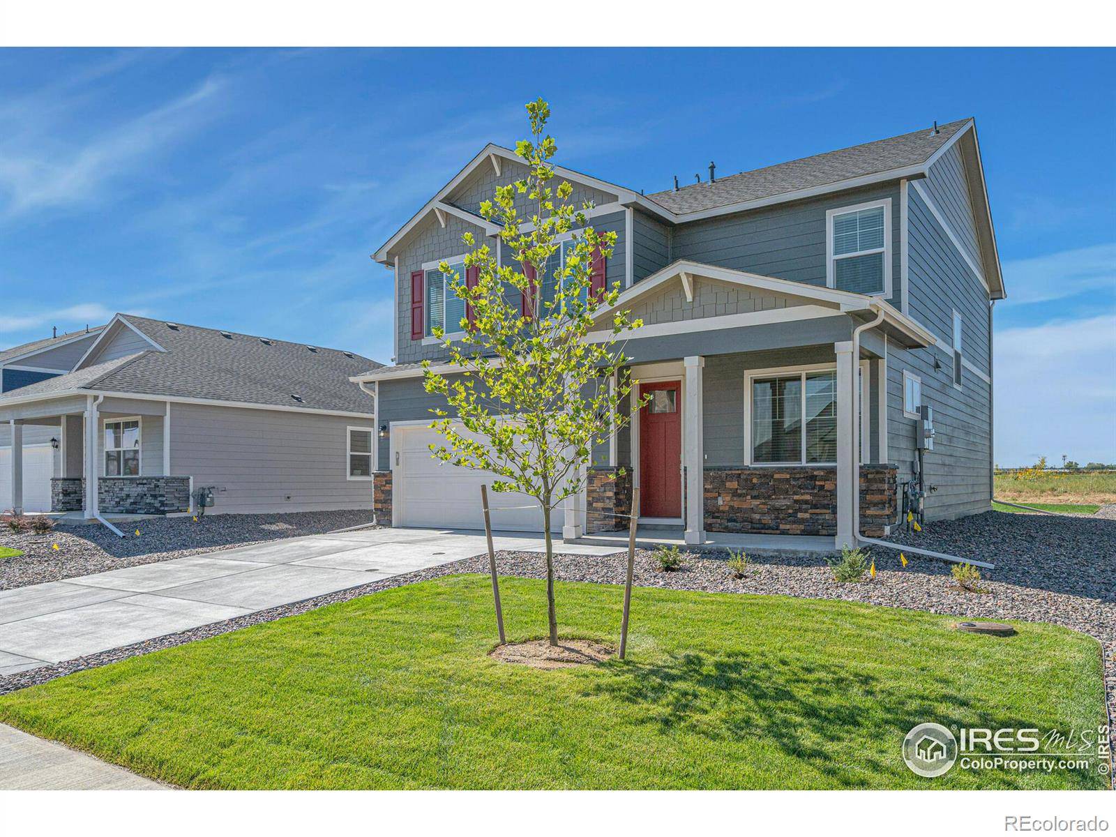 Windsor, CO 80528,6102 Holstein DR