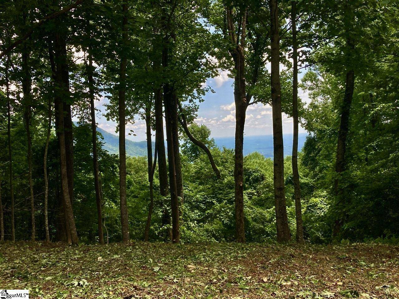 Landrum, SC 29356,100 Deep Haven Lane