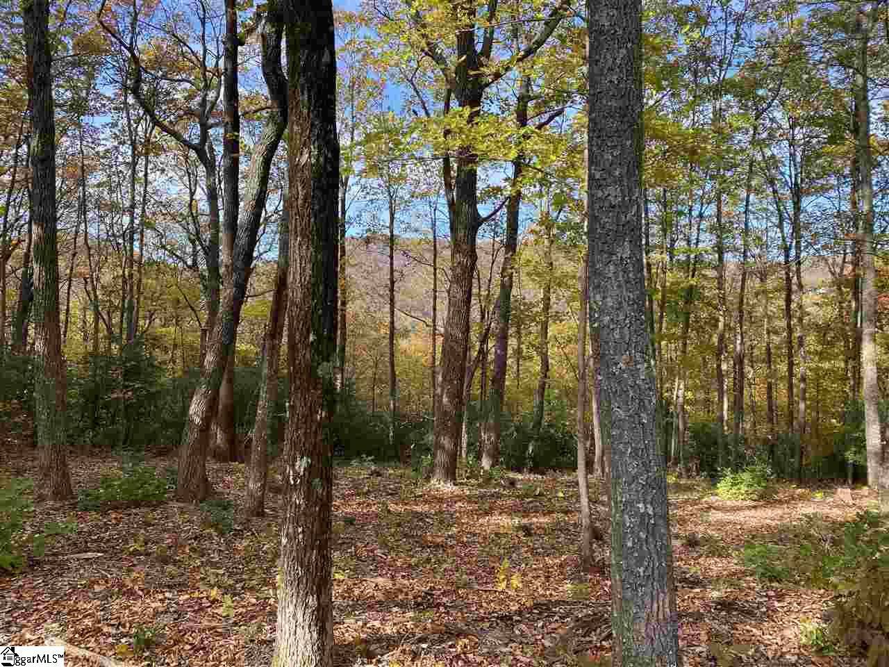 Travelers Rest, SC 29690,1526 Panther Park Trail