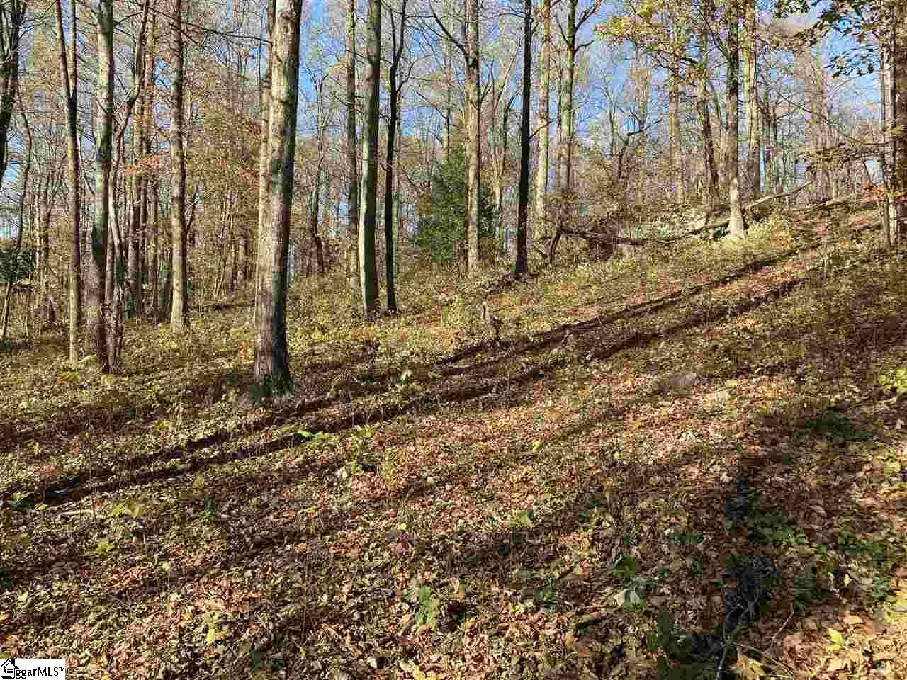 Landrum, SC 29356,194 Catnip Trail