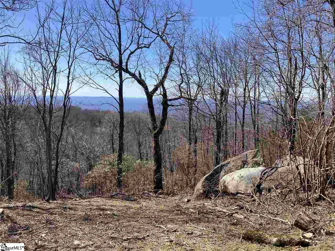 Landrum, SC 29356,Big Pine Rock Way