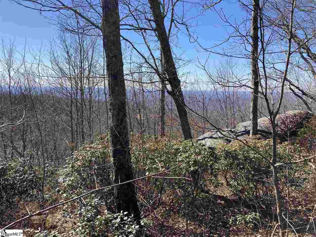 Landrum, SC 29356,Big Pine Rock Way