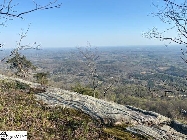 Landrum, SC 29356,Rose Pink Trail
