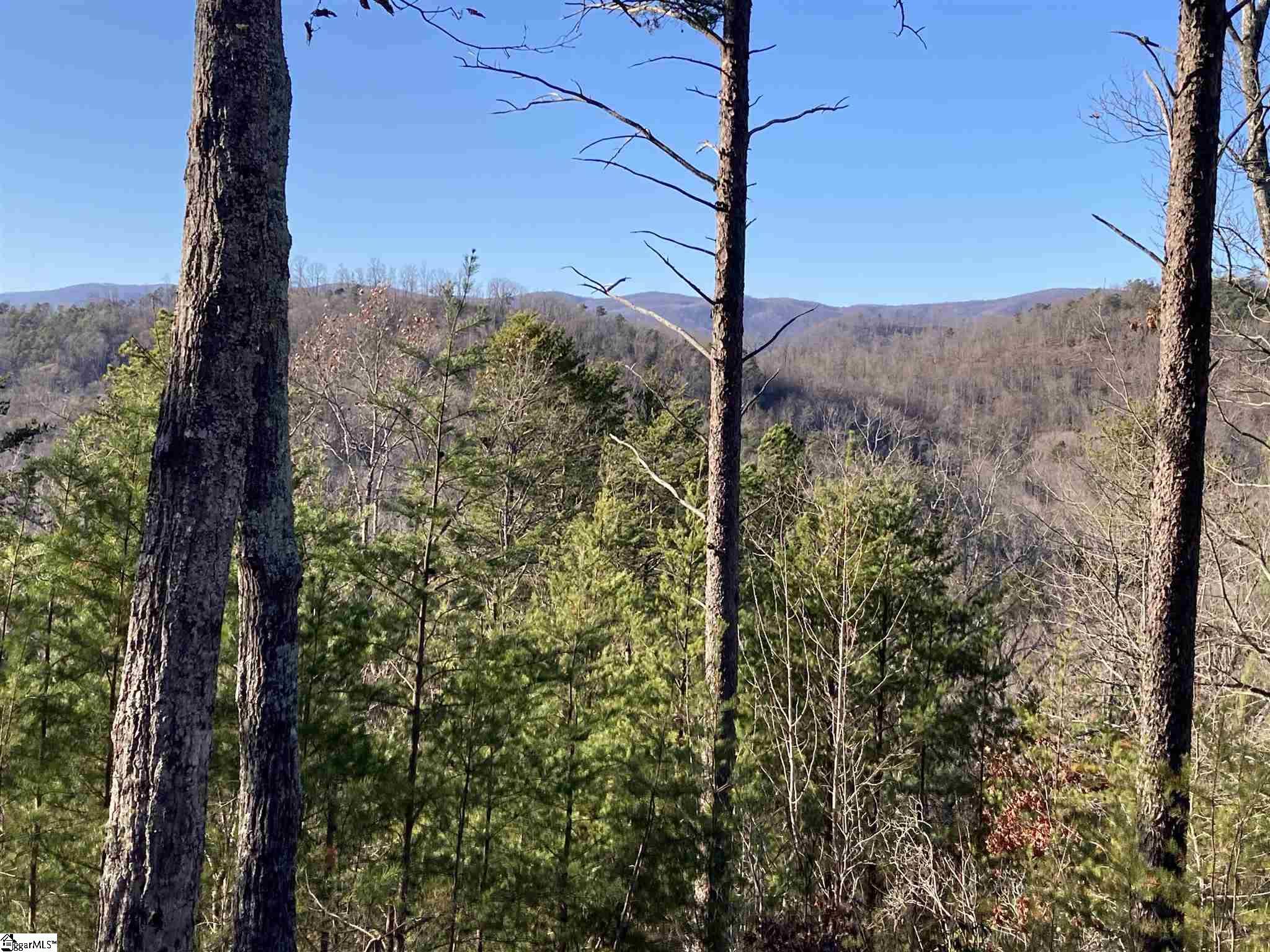 Marietta, SC 29661,30 Speckled Grouse Way