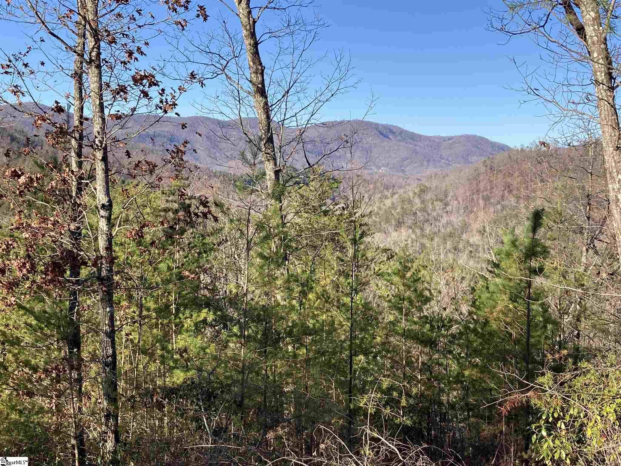 Marietta, SC 29661,30 Speckled Grouse Way