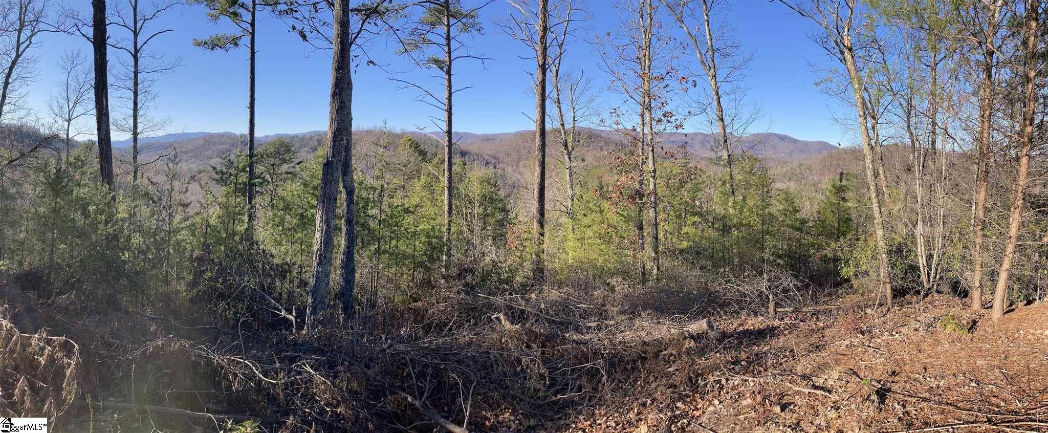 Marietta, SC 29661,30 Speckled Grouse Way