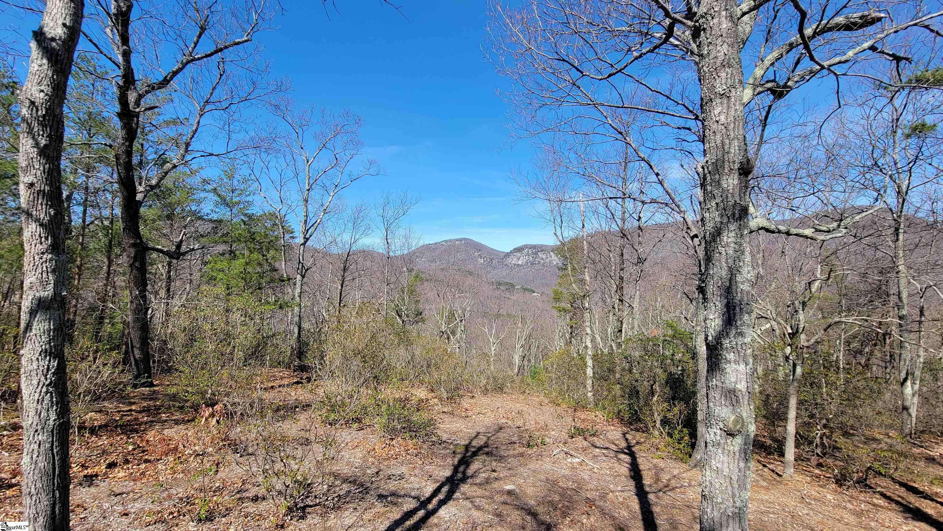 Landrum, SC 29356,107 Roundtop Lane