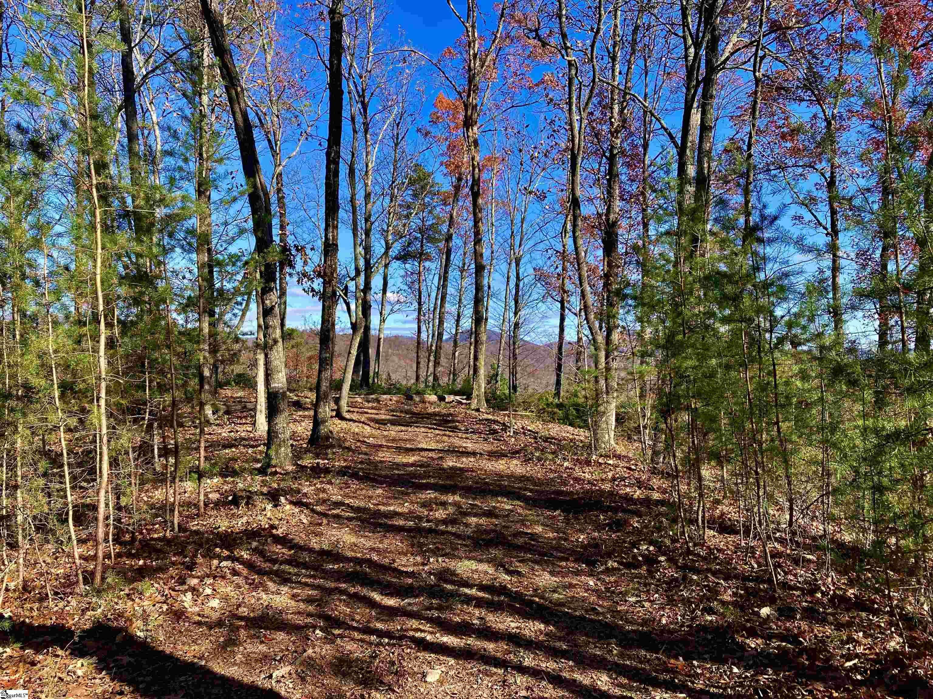 Marietta, SC 29661,29 Speckled Grouse Way