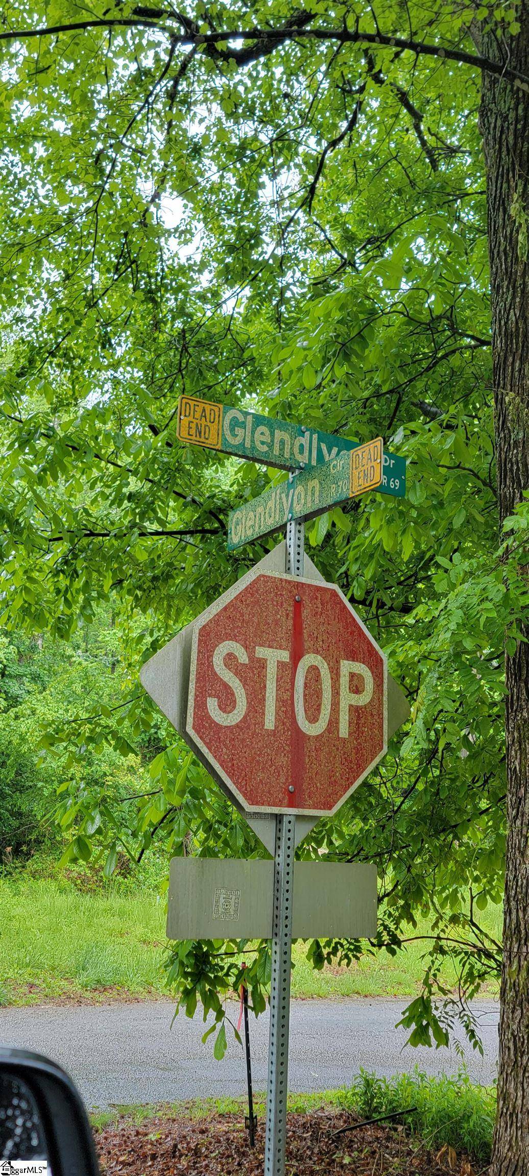 Landrum, SC 29356,000 Glendlyon Circle