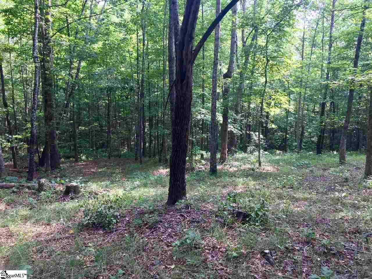 Marietta, SC 29661,200 Darting Sparrow Way