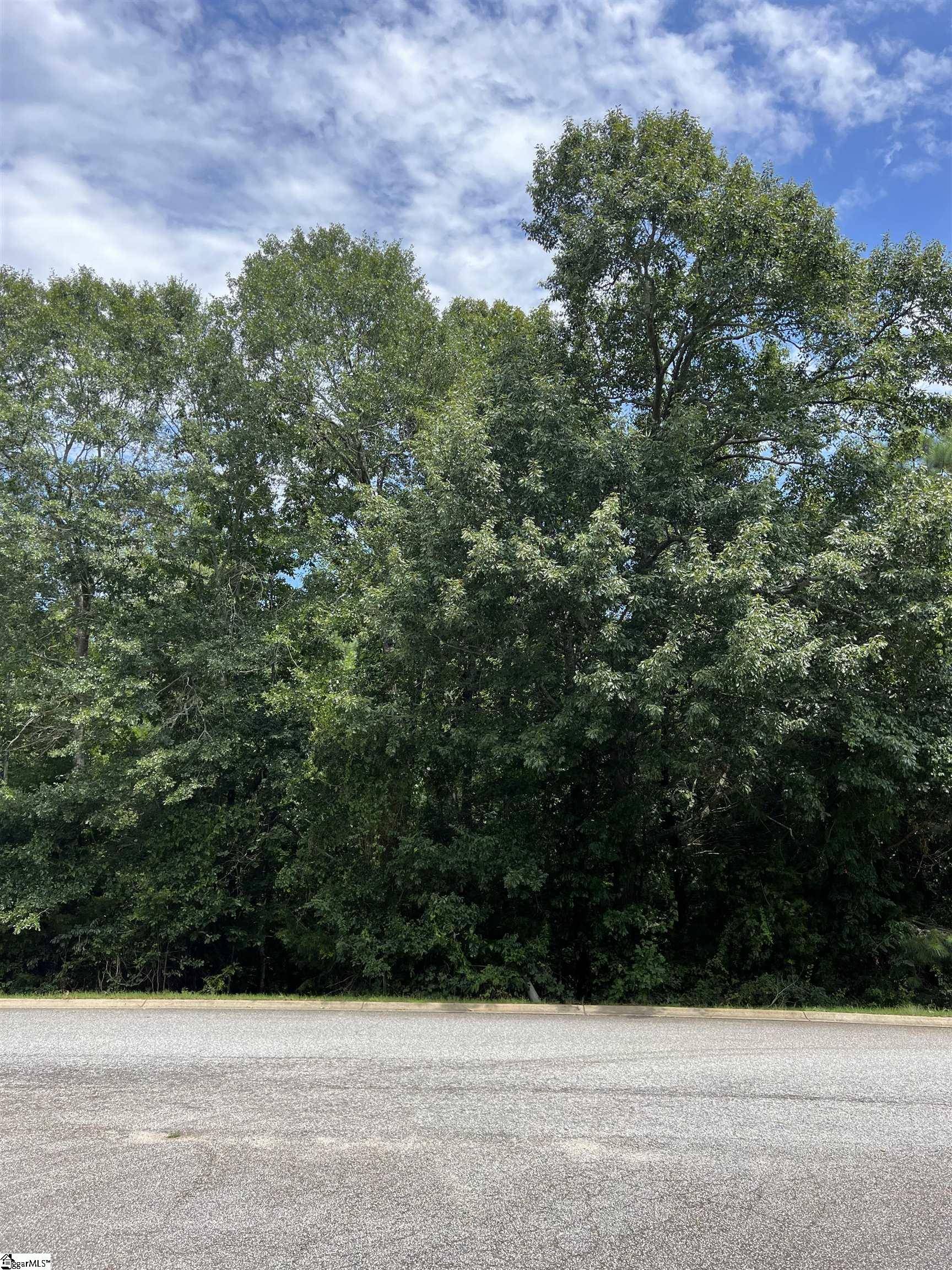 Piedmont, SC 29673,139 Mountain Lake Drive