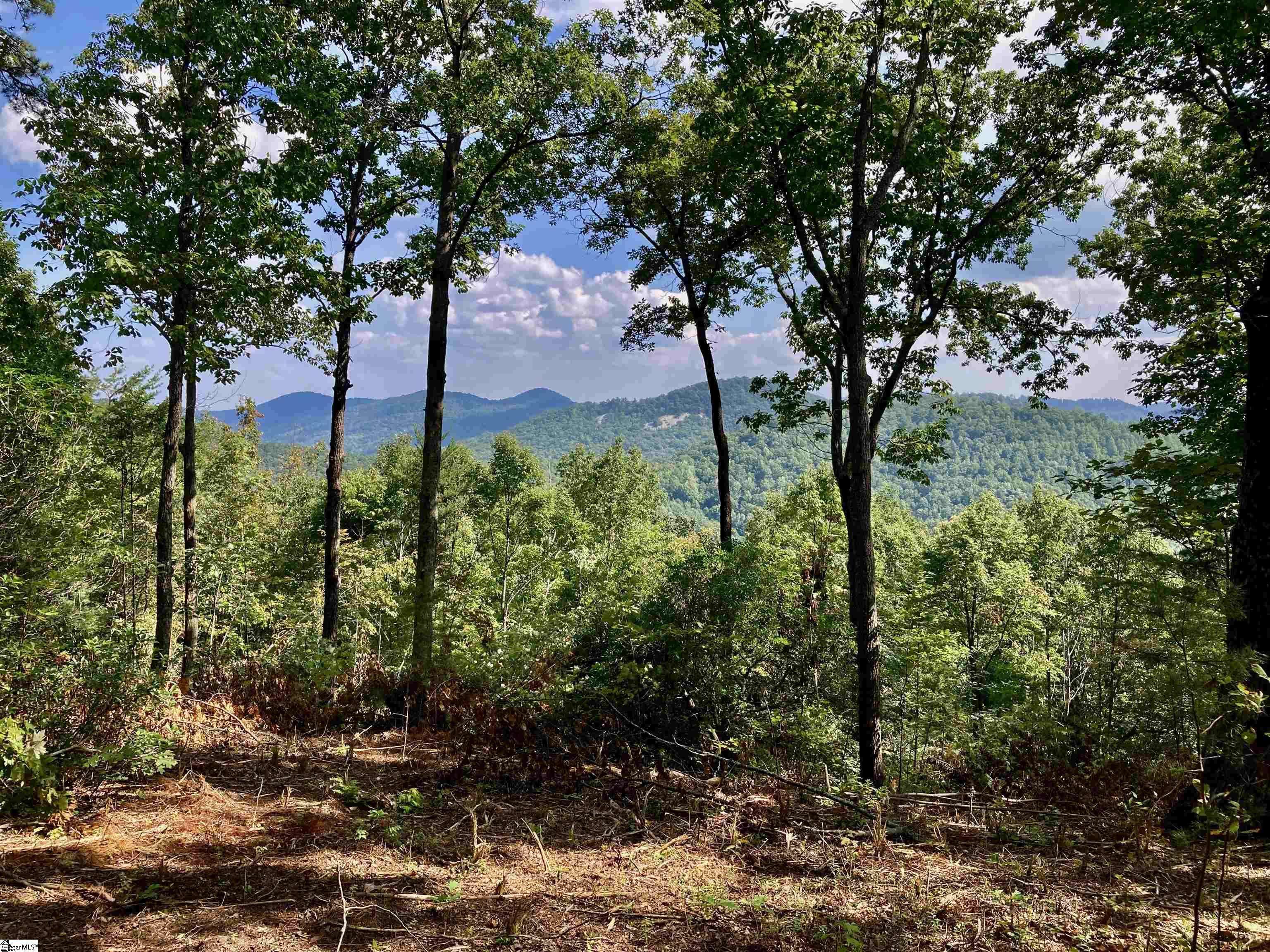 Travelers Rest, SC 29690,47 Mountain Oak Lane