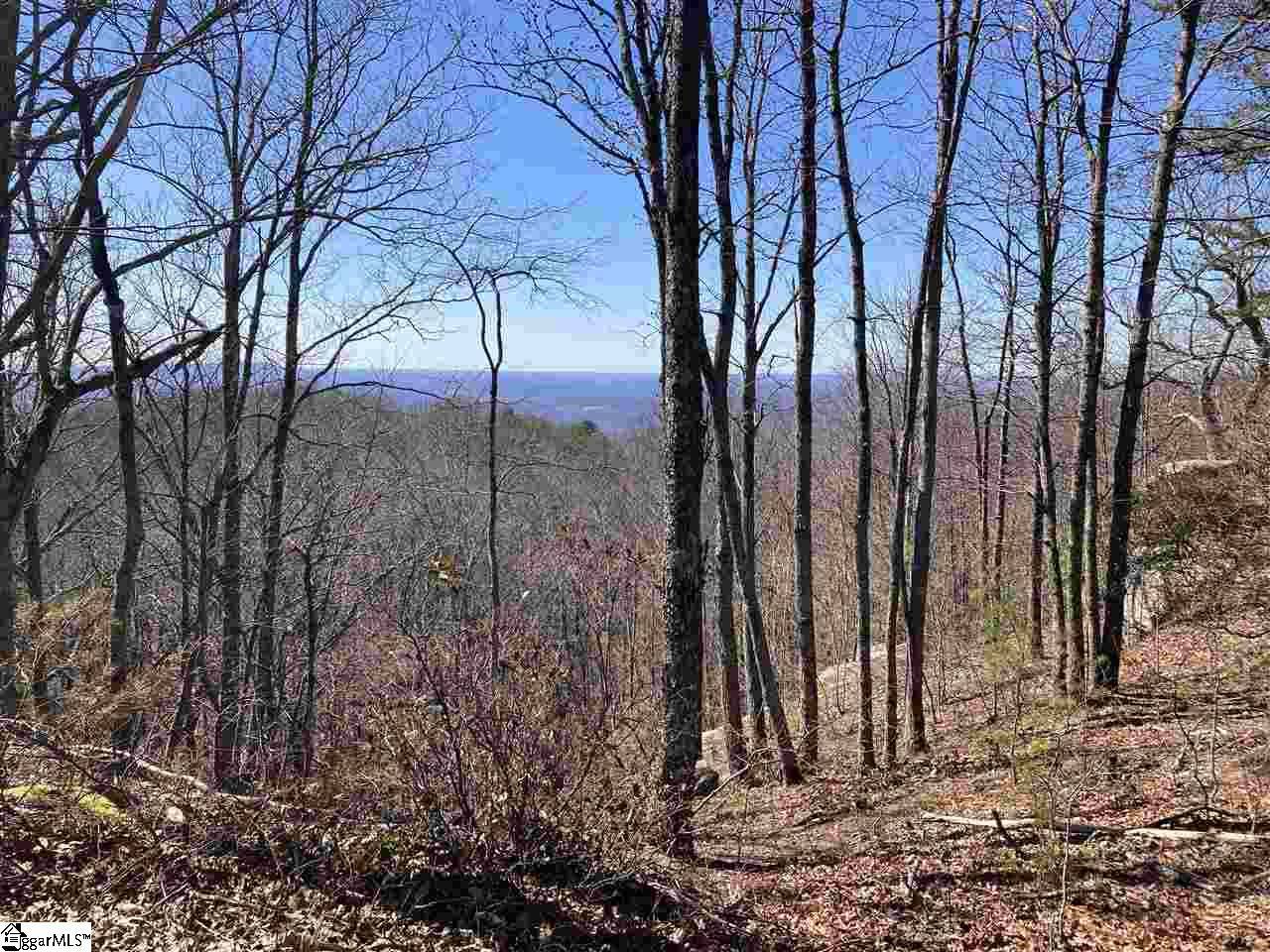 Landrum, SC 29356,1004 Red Sky Trail