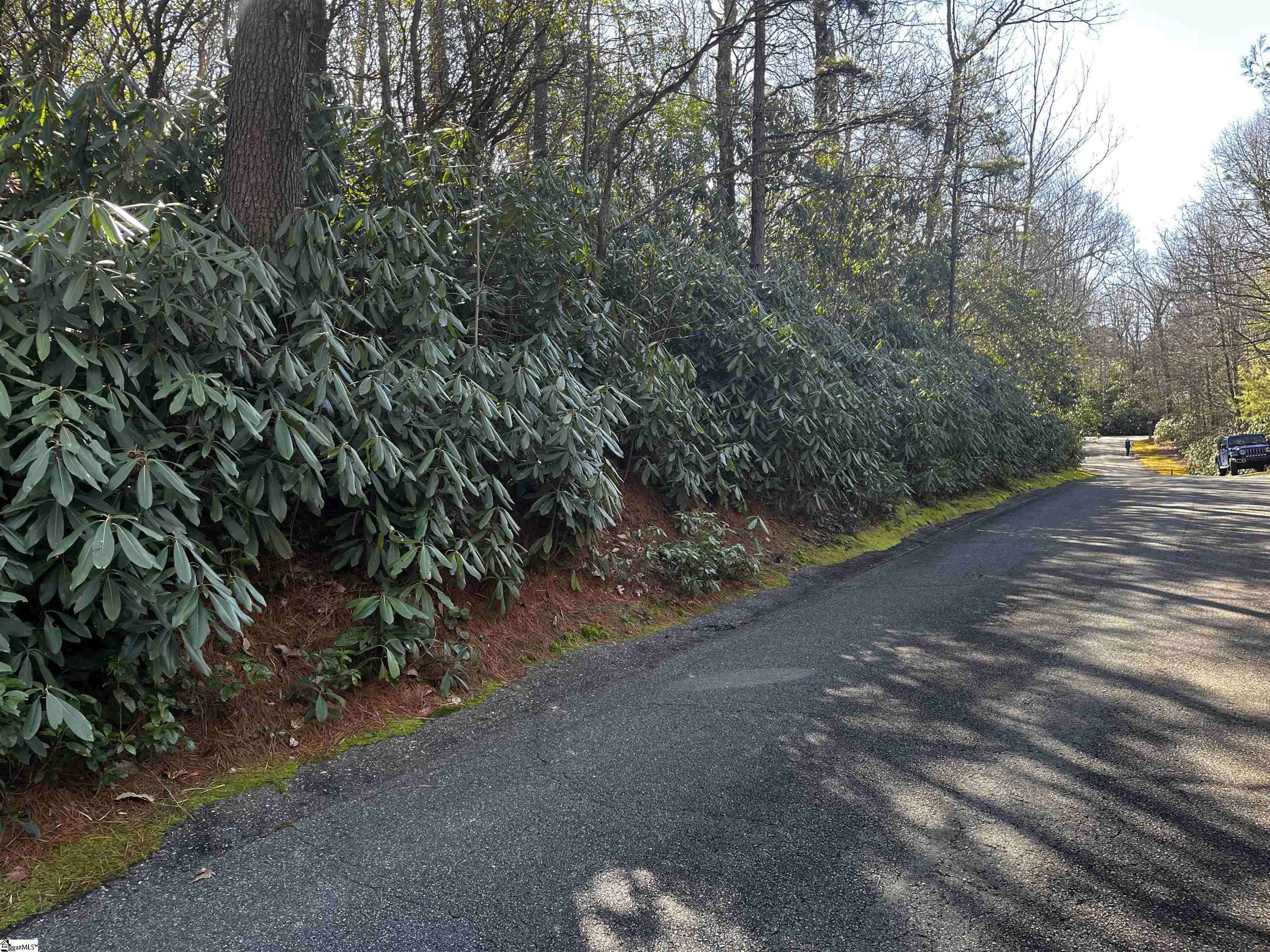 Cleveland, SC 29635,116 Hemlock Trail